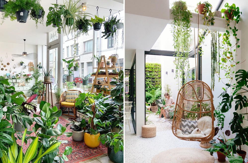 Plant Corner: zó leuk! Beelld: Plant Corner Plant Corner: zó leuk! Beelld: Plant Corner